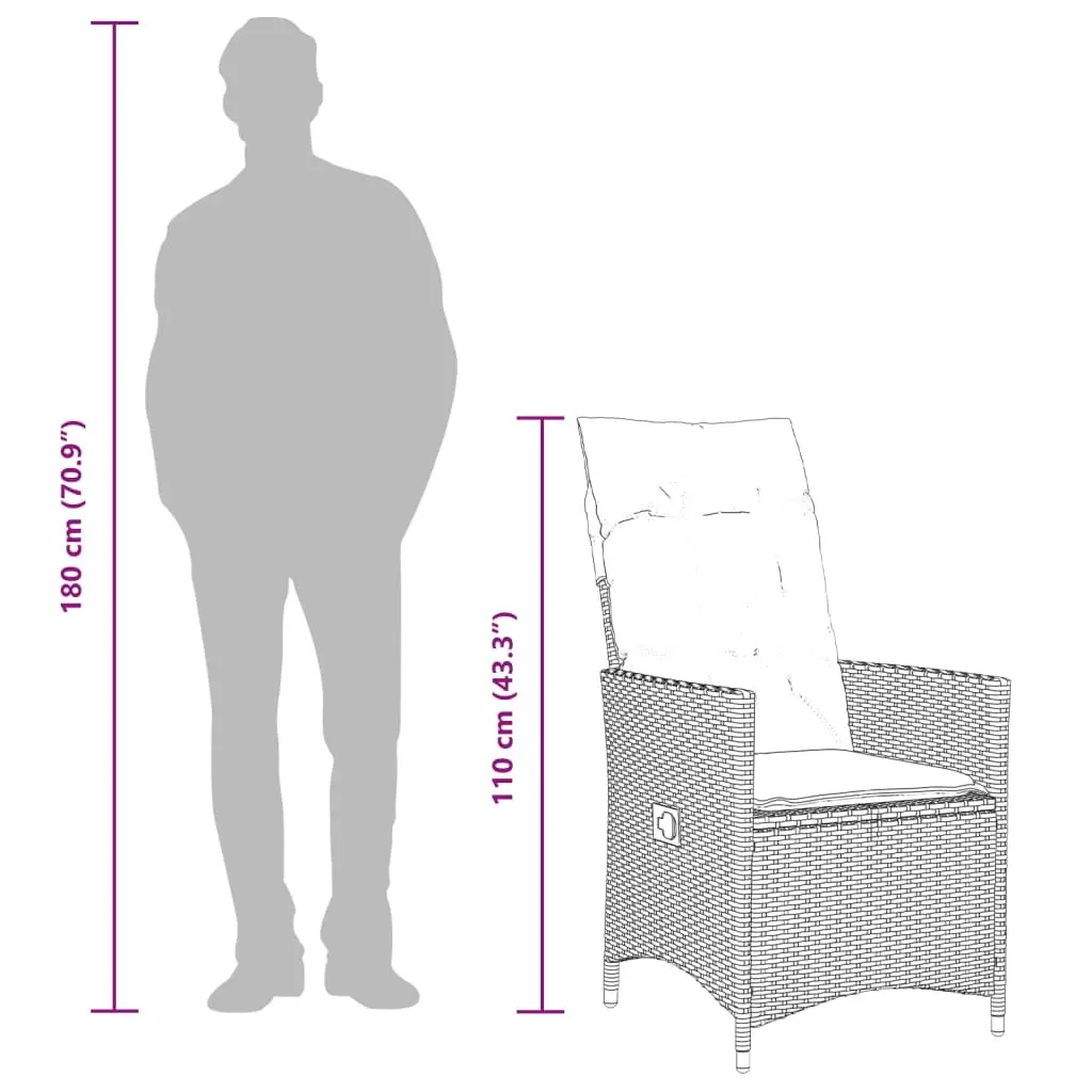 Reclining Garden Chair with Cushions Included