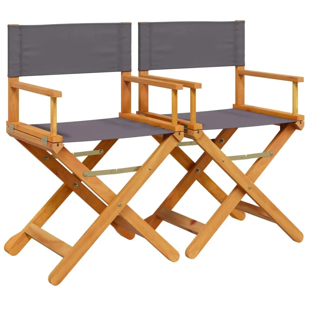 Folding Director Chair Set 2 pcs Outdoor Garden Camping Portable Grey Fabric
