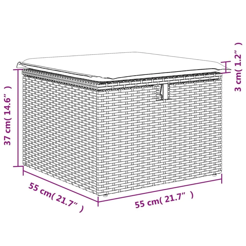 Outdoor Garden Stool with Cushion Storage