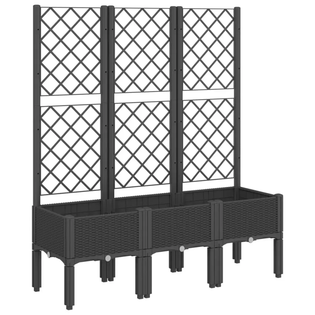 Garden Planter Climbing Plants Support 120x40x142cm Black