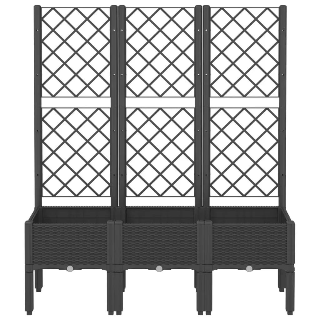 Garden Planter Climbing Plants Support 120x40x142cm Black