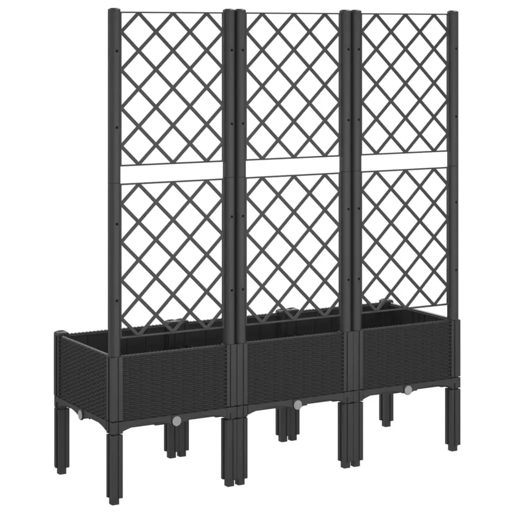 Garden Planter Climbing Plants Support 120x40x142cm Black
