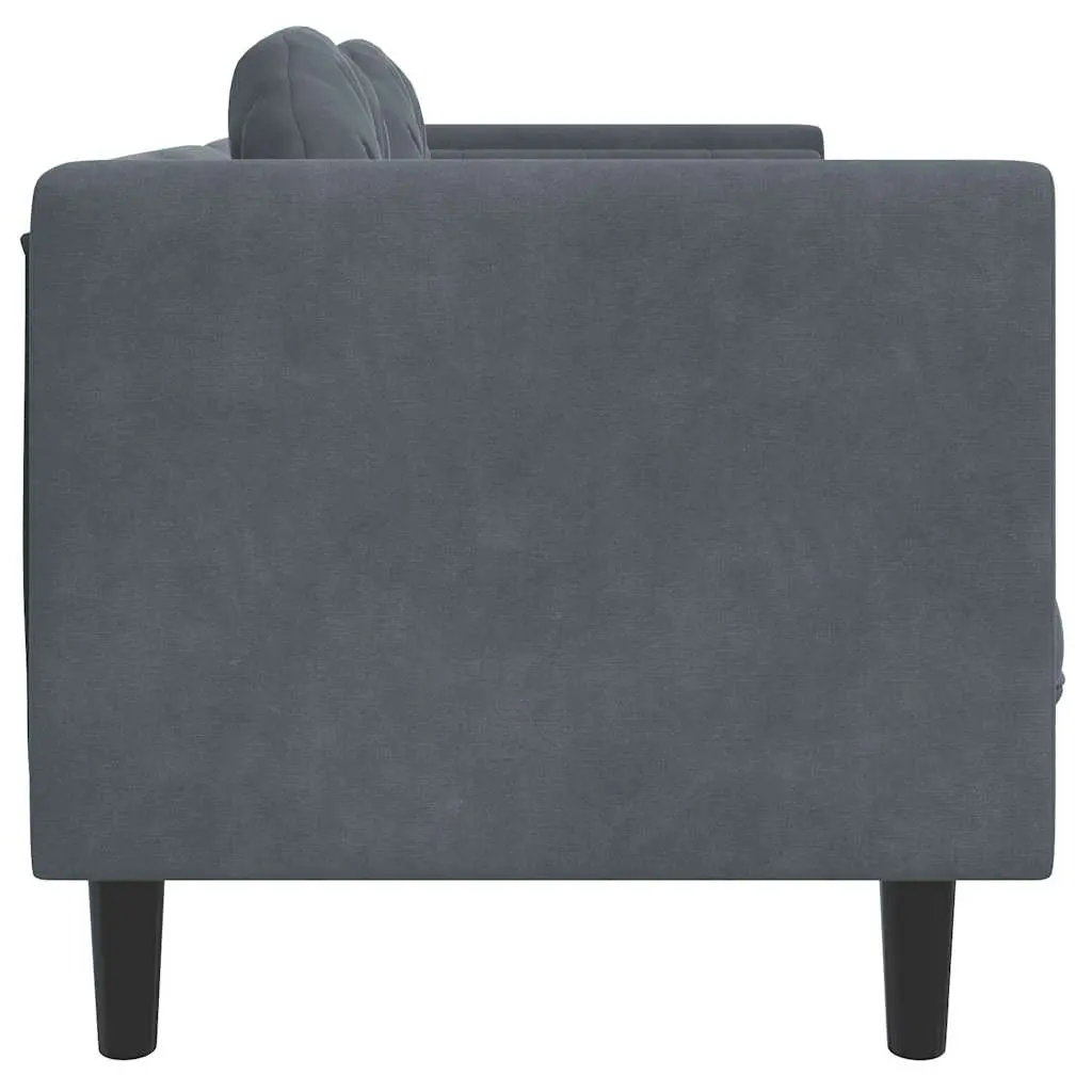 2-Seater Sofa Grey Velvet Cushions Living Room Furniture Couch