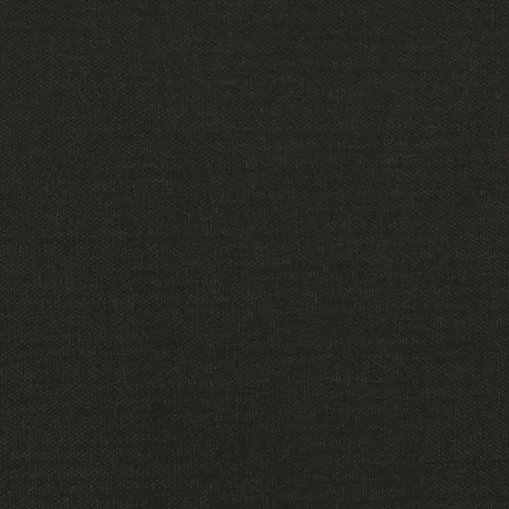 2-Seater Sofa Bed Black Fabric Guest Sleeper Convertible Day Bed with Pillows