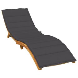 Comfortable Anthracite Sun Lounger Cushion for Your Home