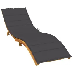 Comfortable Anthracite Sun Lounger Cushion for Your Home