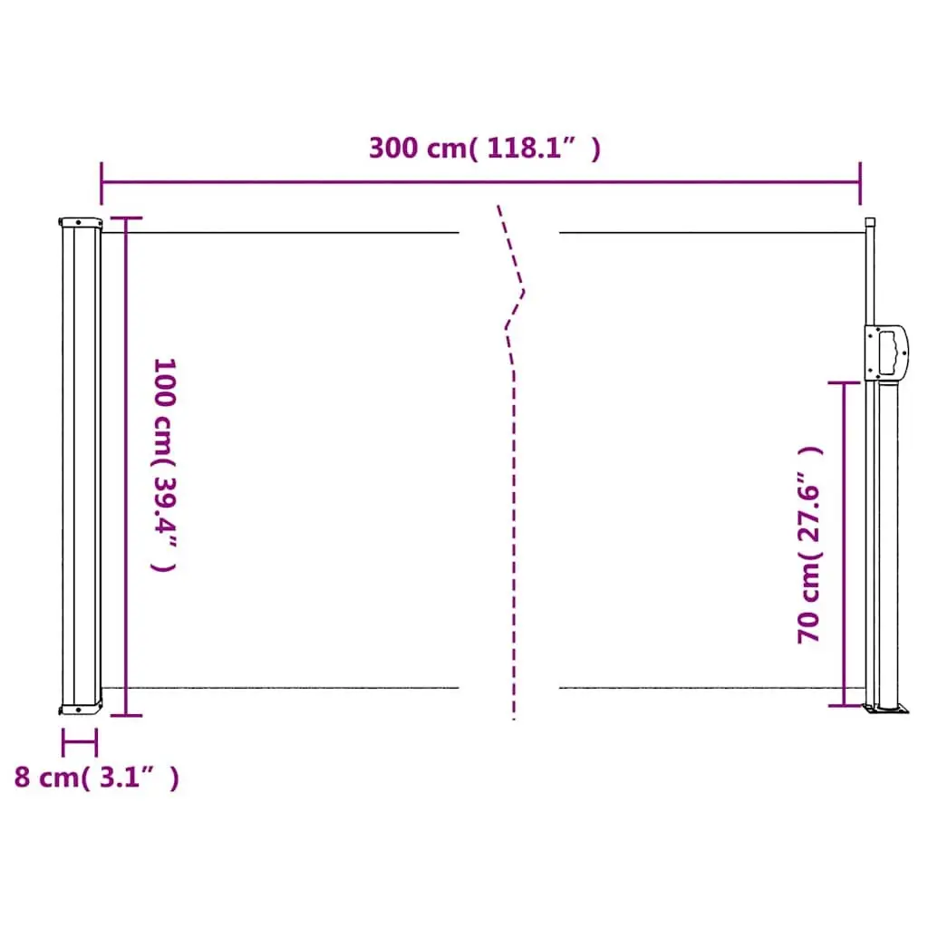 Retractable Side Awning Privacy Screen 100x300cm Black Garden Patio Balcony