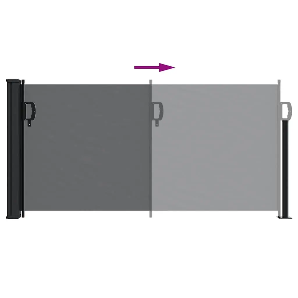Retractable Side Awning Privacy Screen 100x300cm Black Garden Patio Balcony