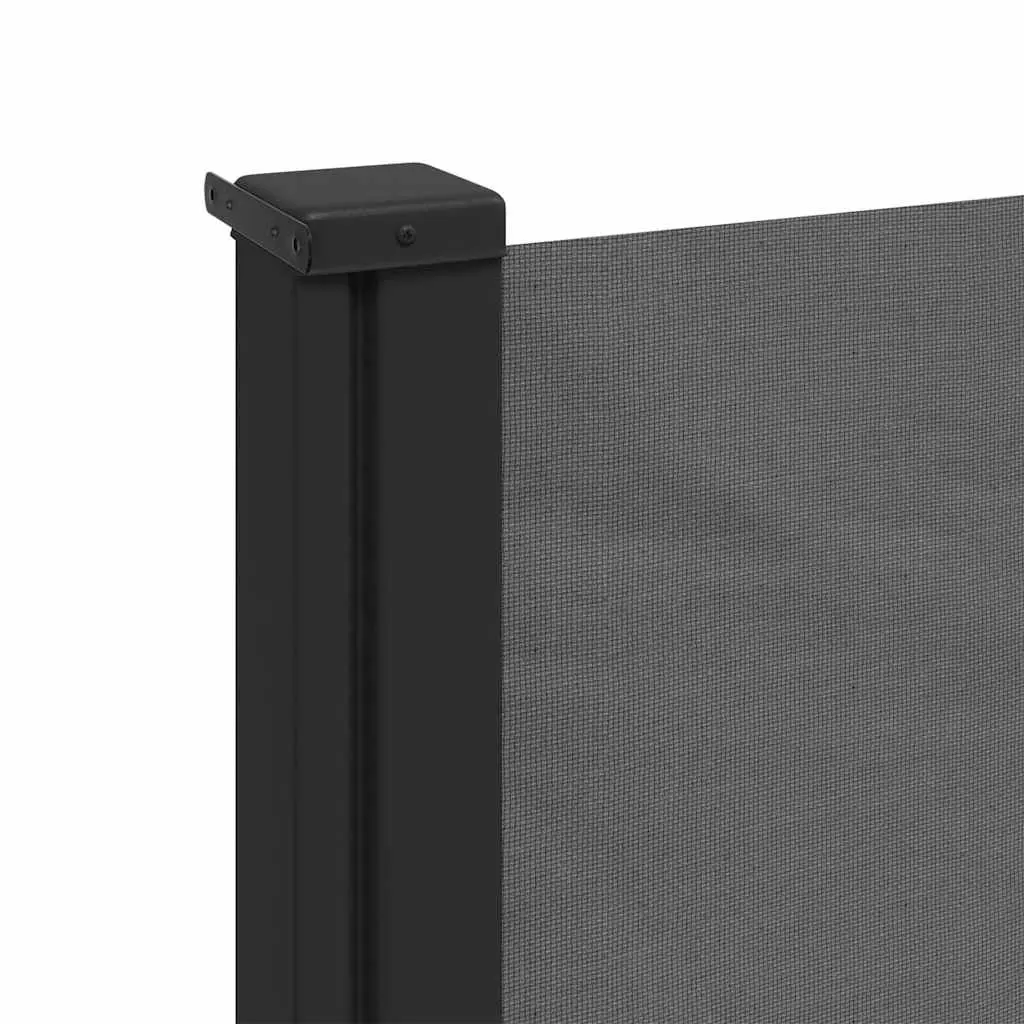 Retractable Side Awning Privacy Shade 100x300cm Anthracite