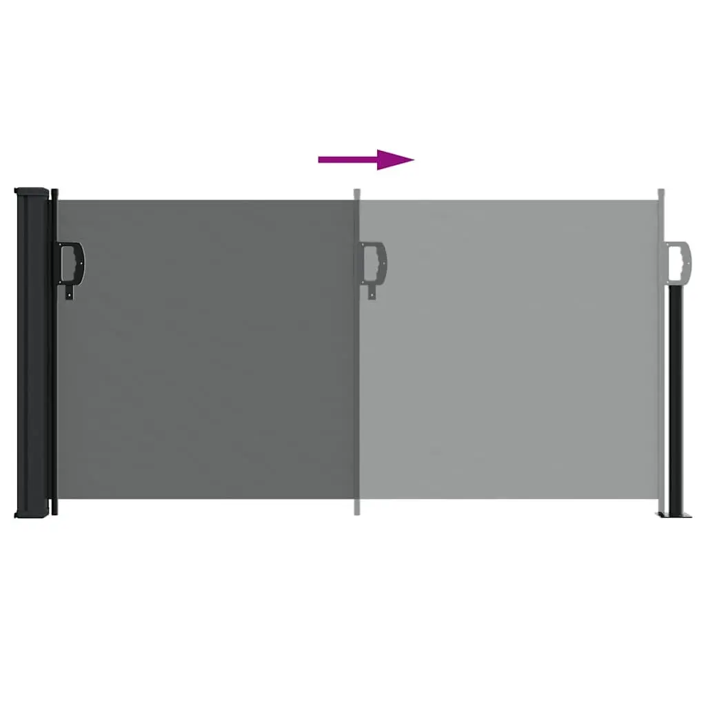 Retractable Side Awning Privacy Shade 100x300cm Anthracite