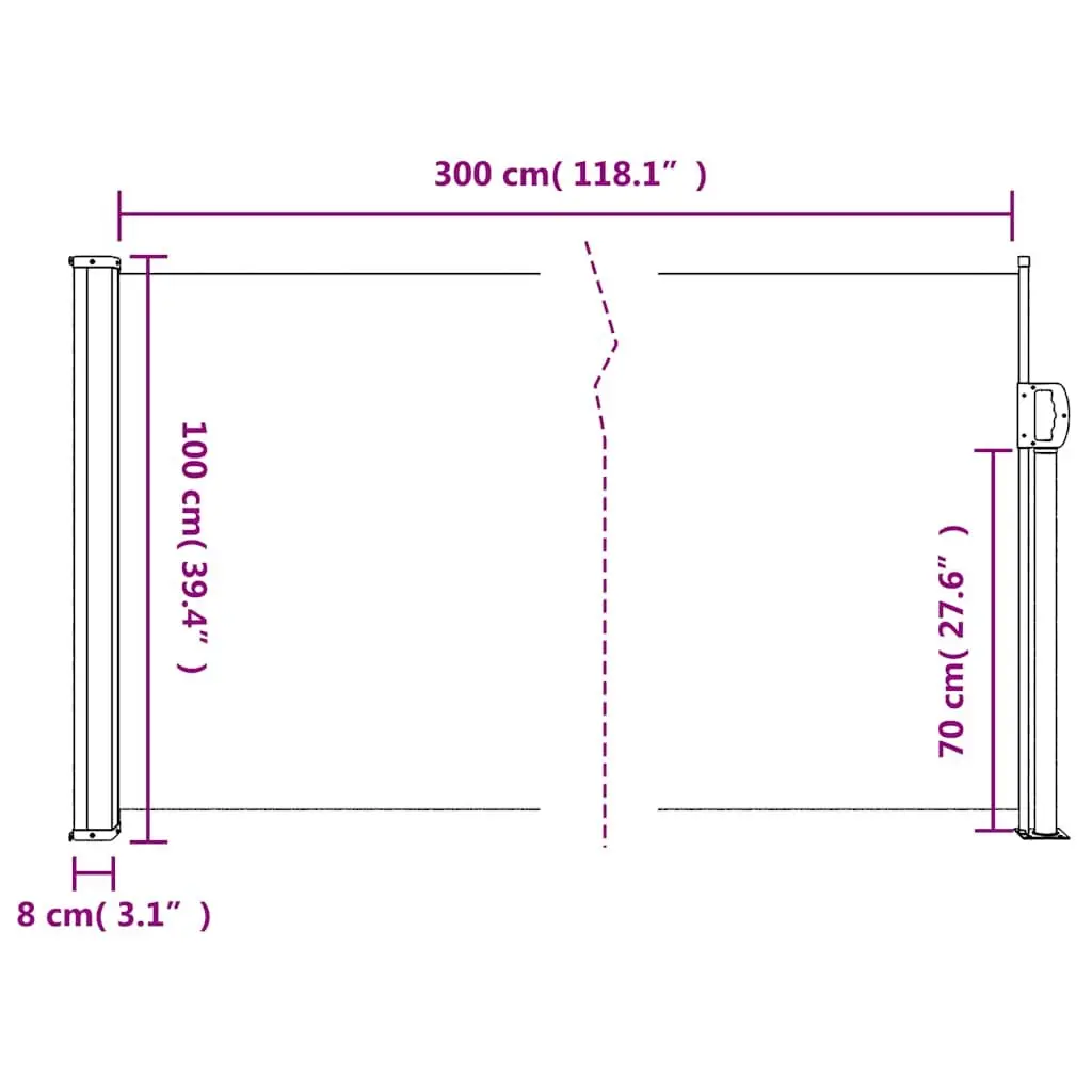 Retractable Side Awning Privacy Shade 100x300cm Anthracite