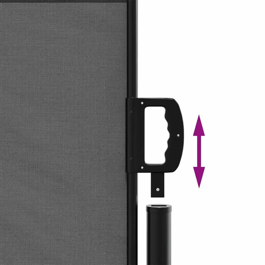 Retractable Side Awning Outdoor Privacy Screen 140x300cm Anthracite
