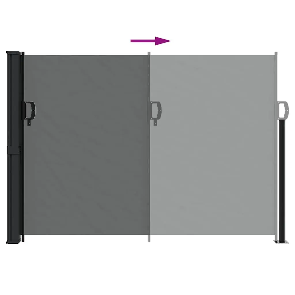 Retractable Side Awning Outdoor Privacy Screen 140x300cm Anthracite