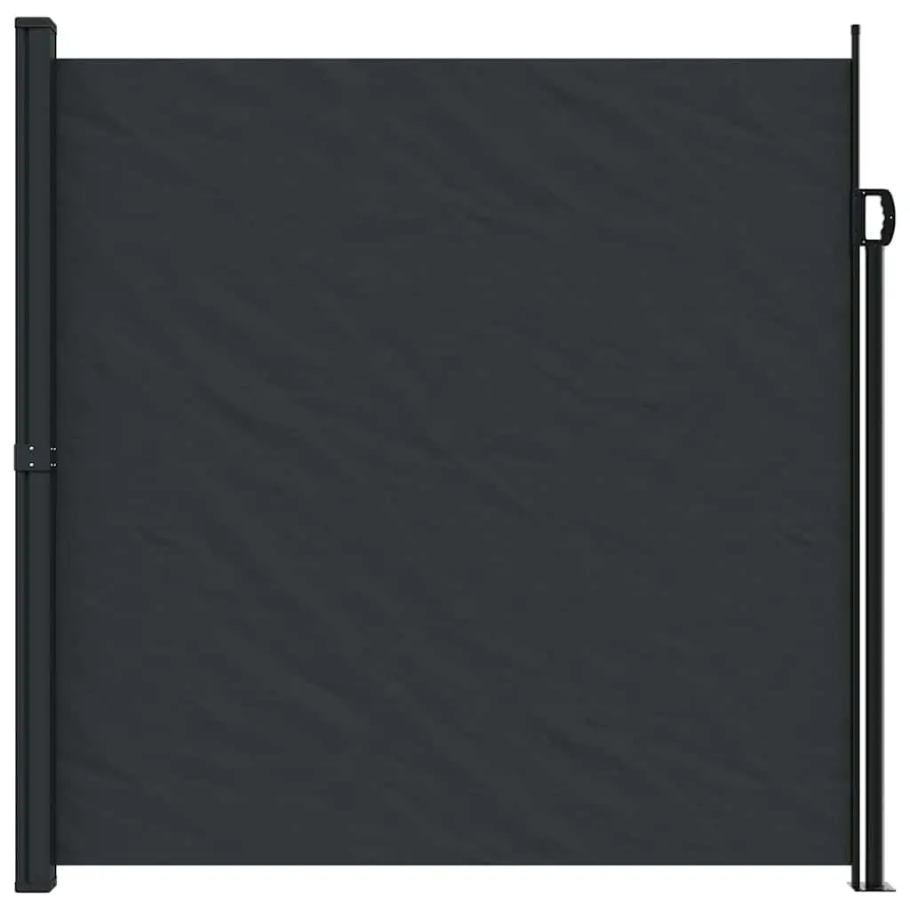 Retractable Side Awning Garden Privacy Screen 200x300cm Black Outdoor
