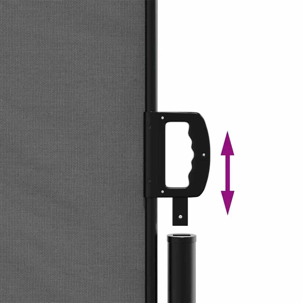 Retractable Side Awning Privacy Screen Outdoor Garden Patio 200 x 300 cm Anthracite