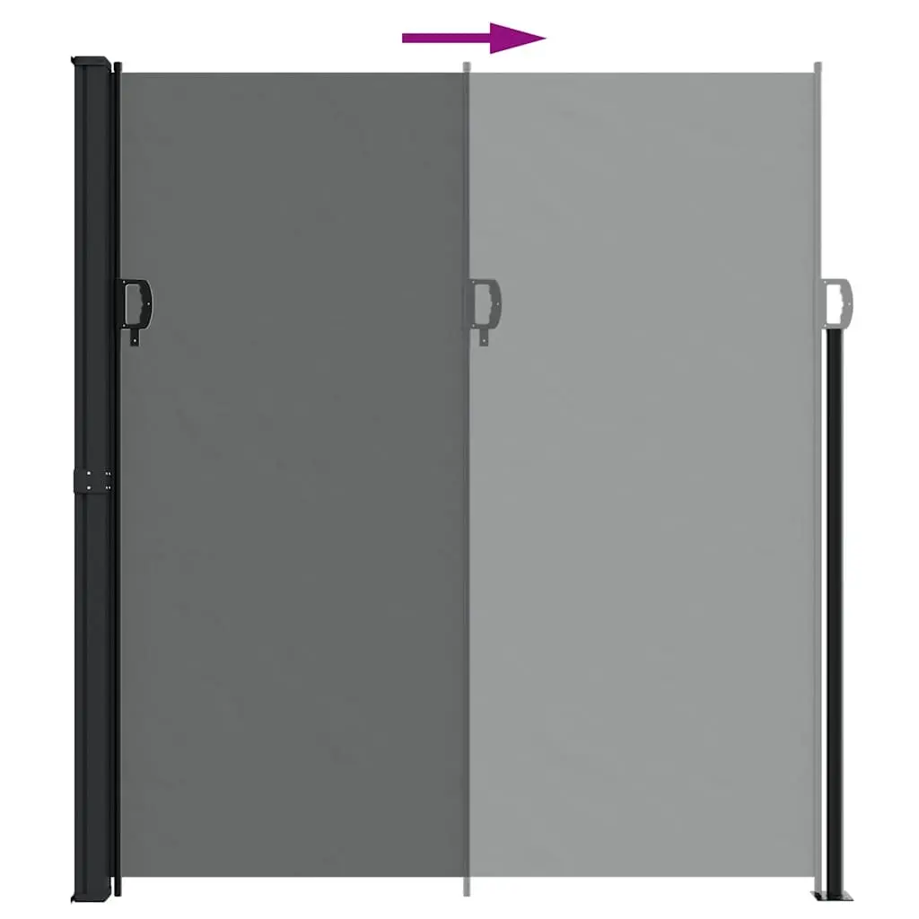 Retractable Side Awning Privacy Screen 220x300cm Anthracite Garden Patio Shade