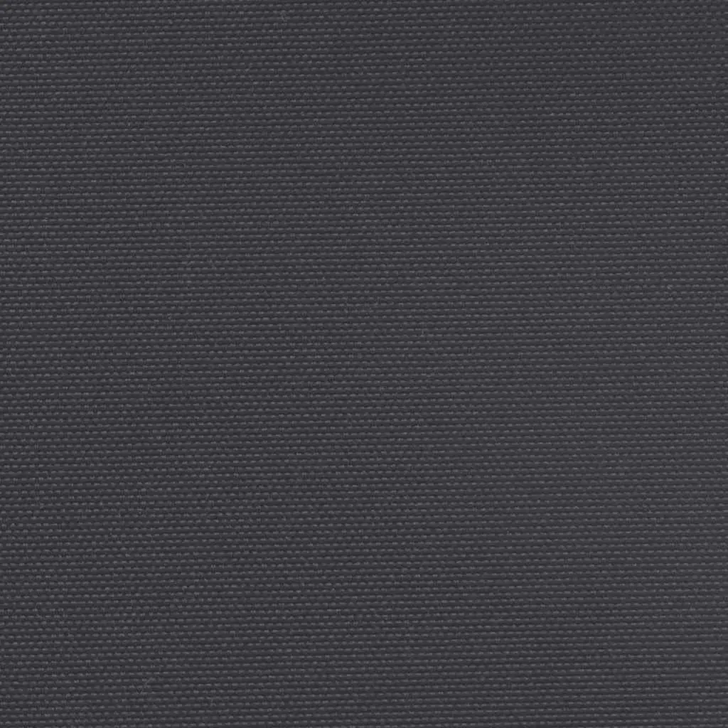 Retractable Side Awning Screen Black 220x500cm Outdoor Patio Balcony Terrace