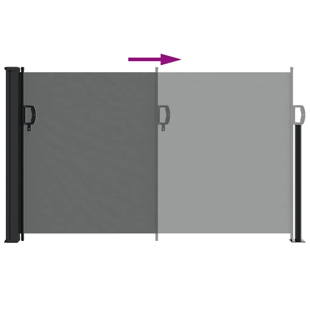 Retractable Side Awning Garden Privacy Screen 120x600cm Anthracite
