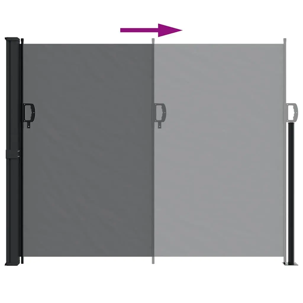 Retractable Side Awning Outdoor Privacy Screen 160x600 cm Black