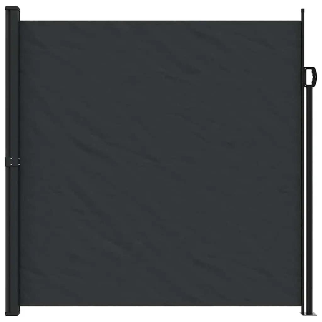 Retractable Side Awning Outdoor Privacy Screen 200x600cm Black