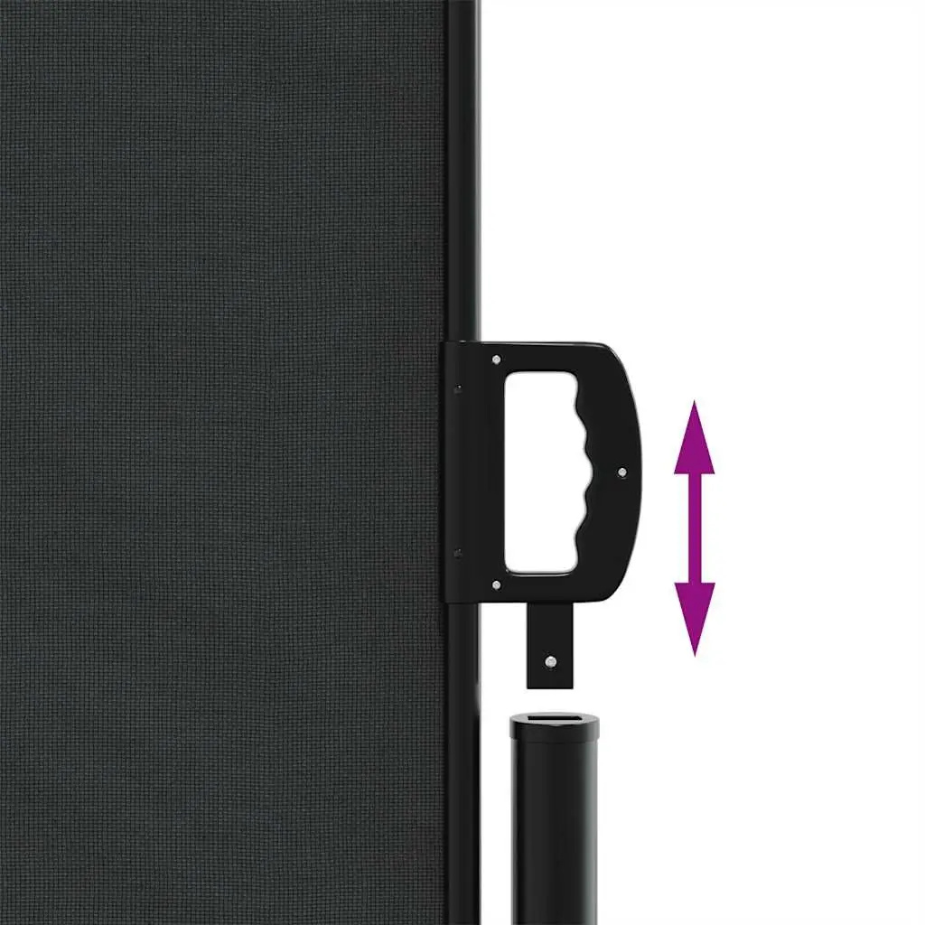 Retractable Side Awning Outdoor Privacy Screen 200x600cm Black