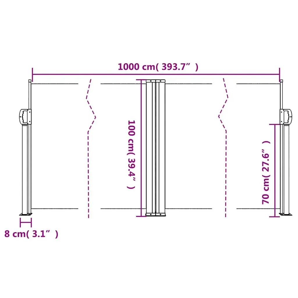 Retractable Side Awning Privacy Screen 100x1000cm Black Garden Patio Balcony