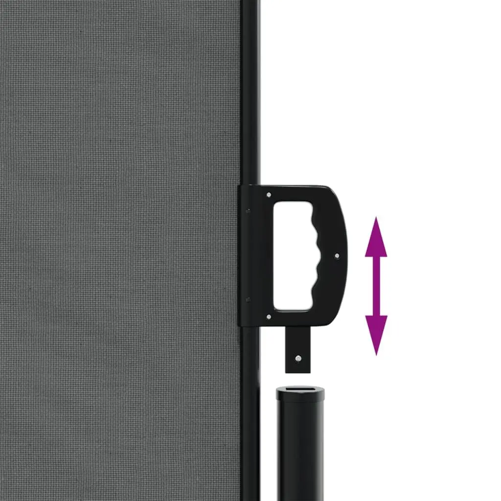 Retractable Side Awning Privacy Screen 180 x 1000 cm Anthracite Outdoor Garden Balcony Terrace Patio