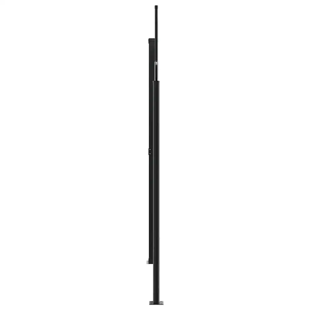 Retractable Awning Outdoor Privacy Screen for Patio Garden 200x1200cm Anthracite