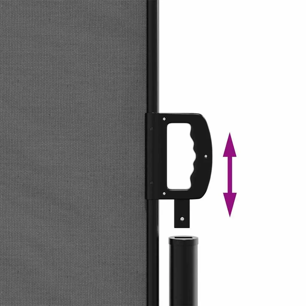 Retractable Awning Outdoor Privacy Screen for Patio Garden 200x1200cm Anthracite
