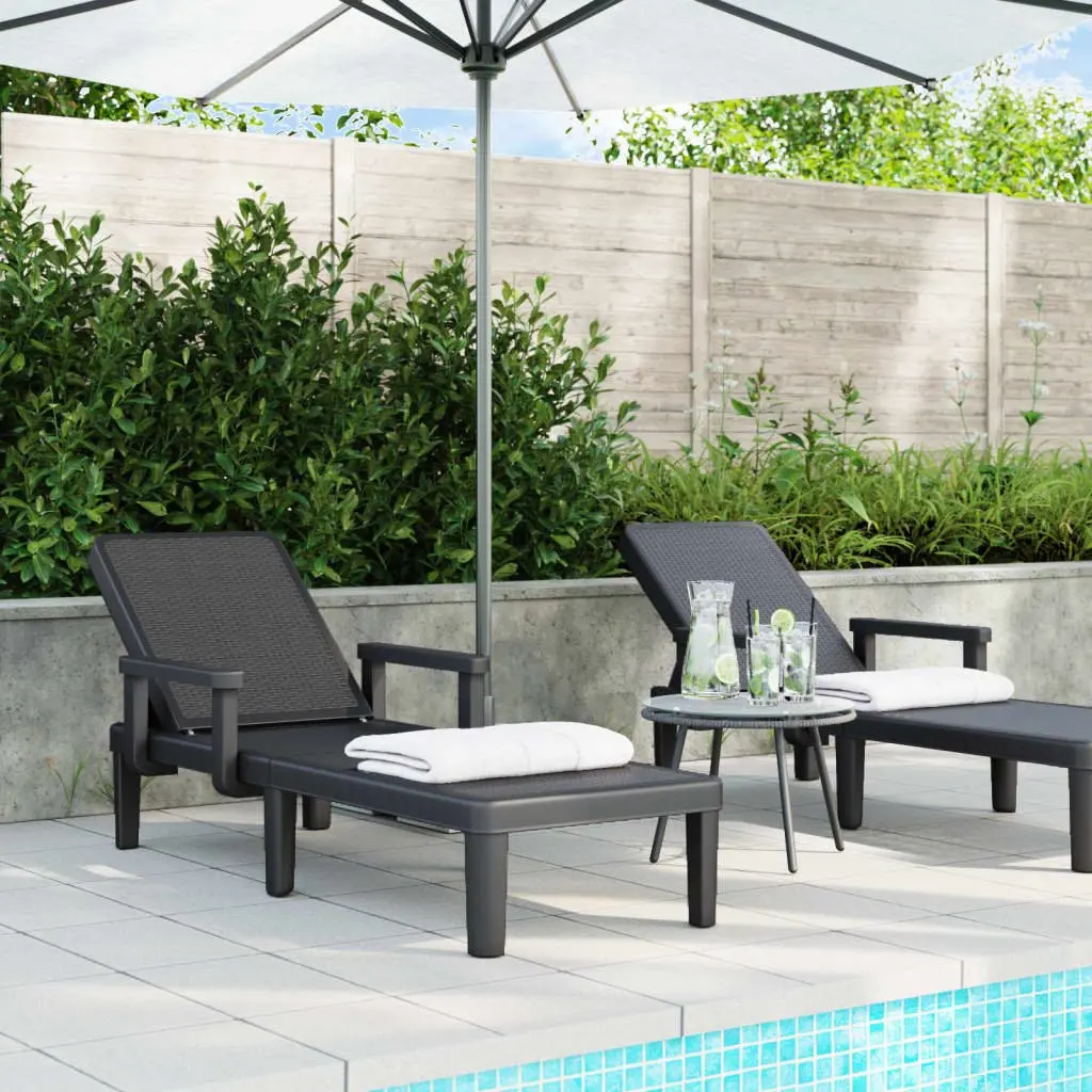 Sun Lounger with Adjustable Backrest