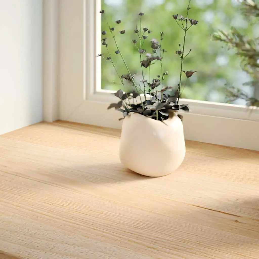 Solid Oak Wood Window Sills Untreated Natural 120x25x2 cm 2 Pieces