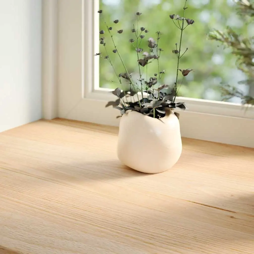 Solid Oak Wood Window Sills Untreated 120x30x2 cm Brown Display Ledge 2 Piece
