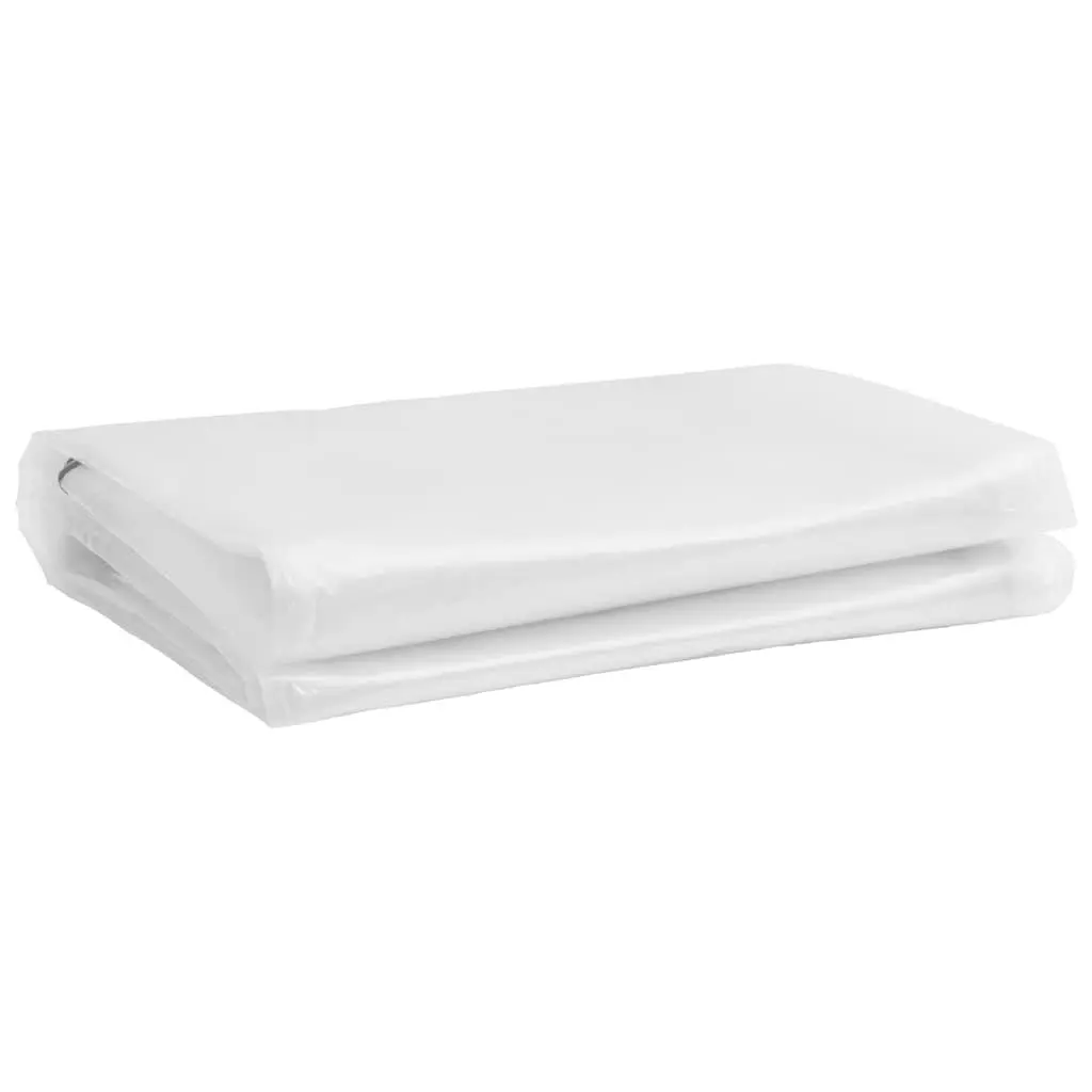 Clear Polyethylene Tarpaulin Waterproof Cover 2x3 m Transparent