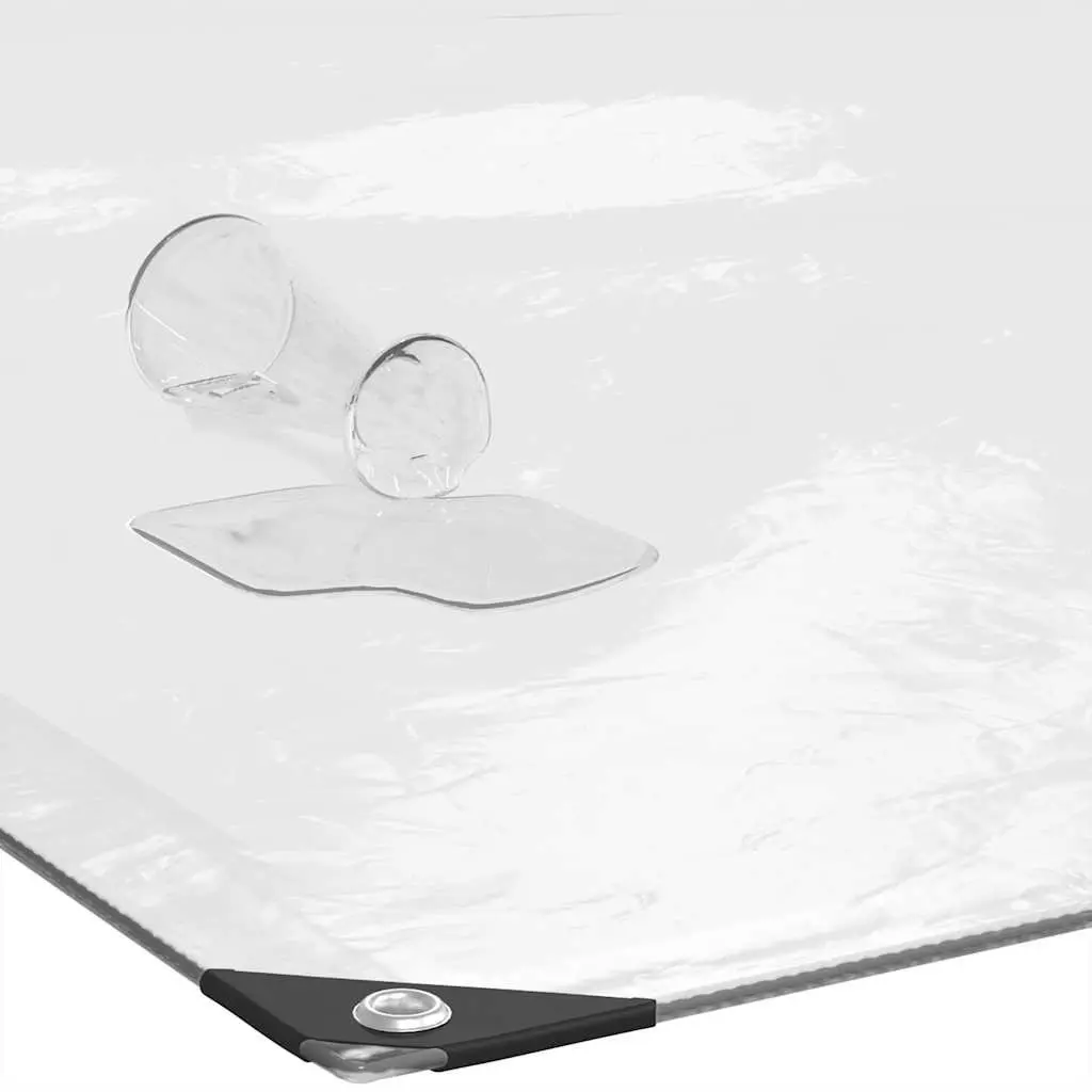 Clear Polyethylene Tarpaulin Waterproof Cover 2x3 m Transparent