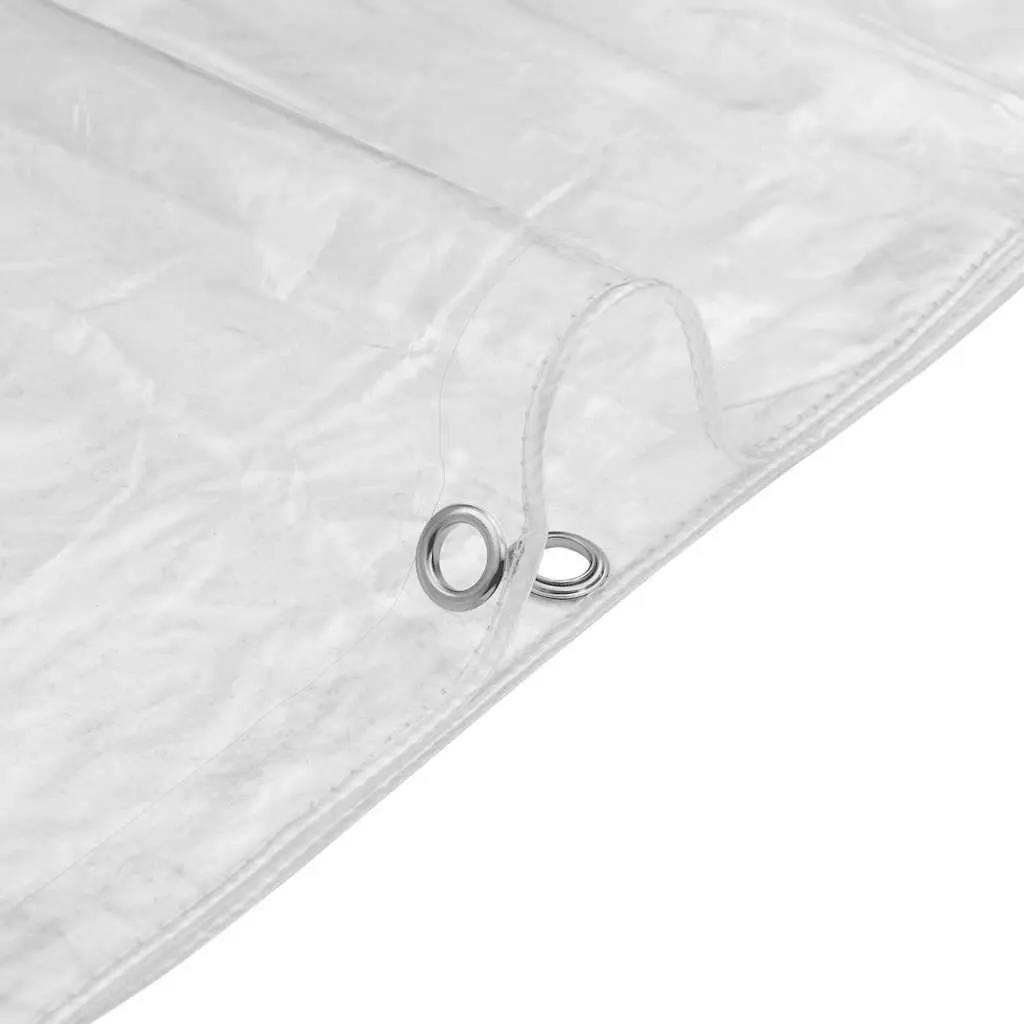 Clear Tarpaulin PVC Sheet Outdoor Cover 3x5m Transparent with Eyelets