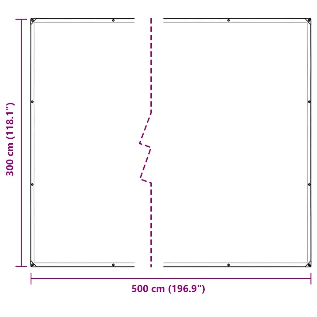 Clear Tarpaulin PVC Sheet Outdoor Cover 3x5m Transparent with Eyelets