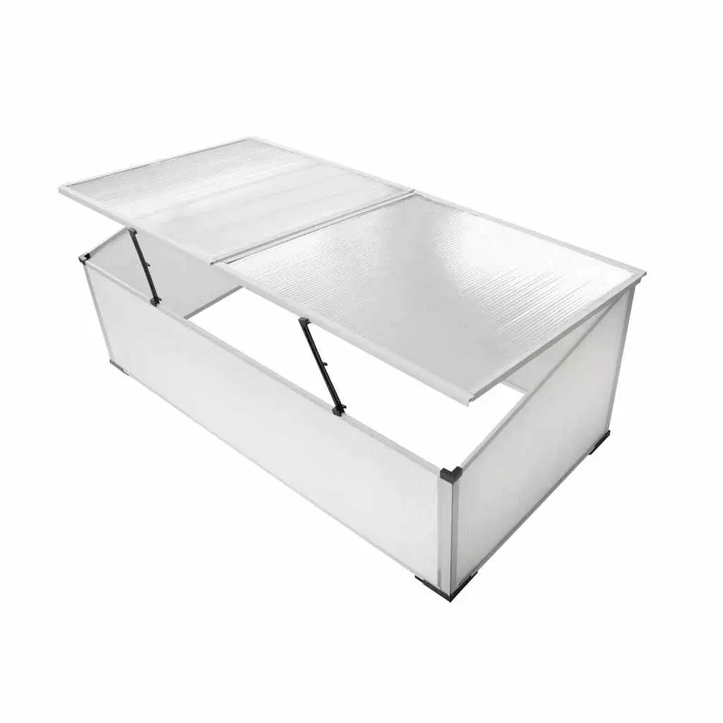 Cold Frame Greenhouse Mini Garden Plant Protection 110 x 41 x 55 cm Transparent Polycarbonate 2 Lids