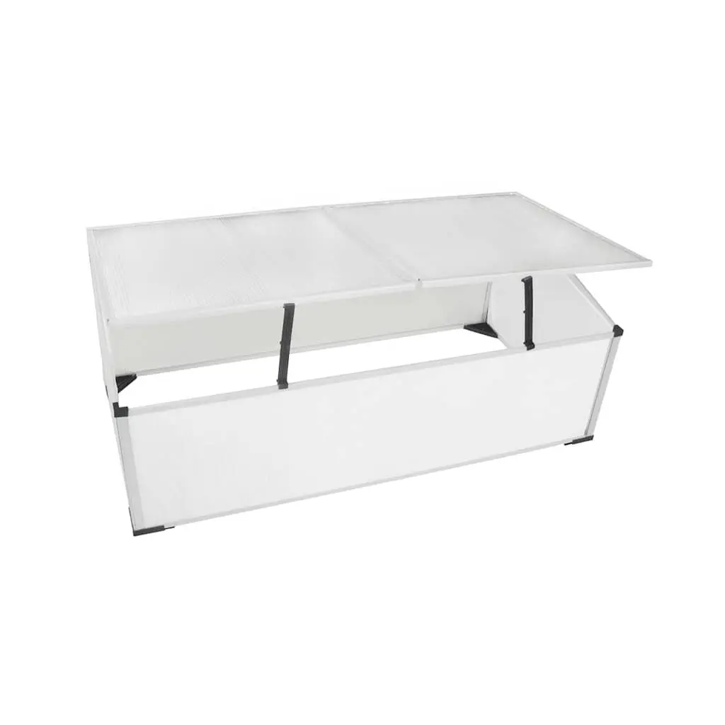 Cold Frame Greenhouse Mini Garden Plant Protection 110 x 41 x 55 cm Transparent Polycarbonate 2 Lids