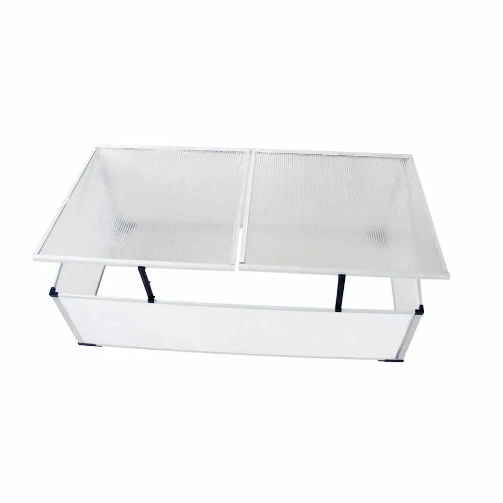 Cold Frame Greenhouse Mini Garden Plant Protection 110 x 41 x 55 cm Transparent Polycarbonate 2 Lids