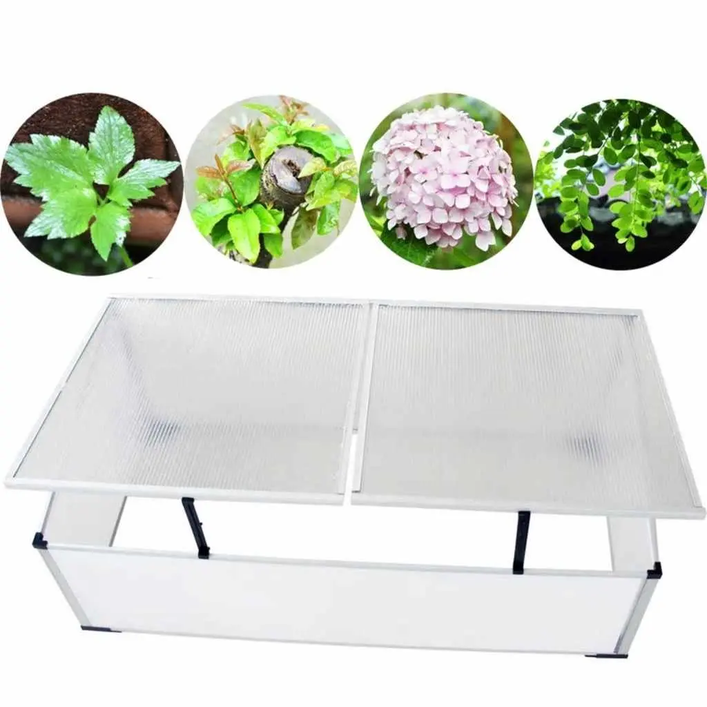 Cold Frame Greenhouse Mini Garden Plant Protection 110 x 41 x 55 cm Transparent Polycarbonate 2 Lids
