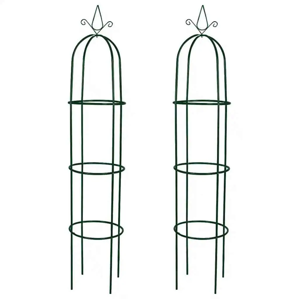 Garden Arch Towers Set 2 Pieces Climbing Plants Support Green Iron Outdoor Patio Trellis