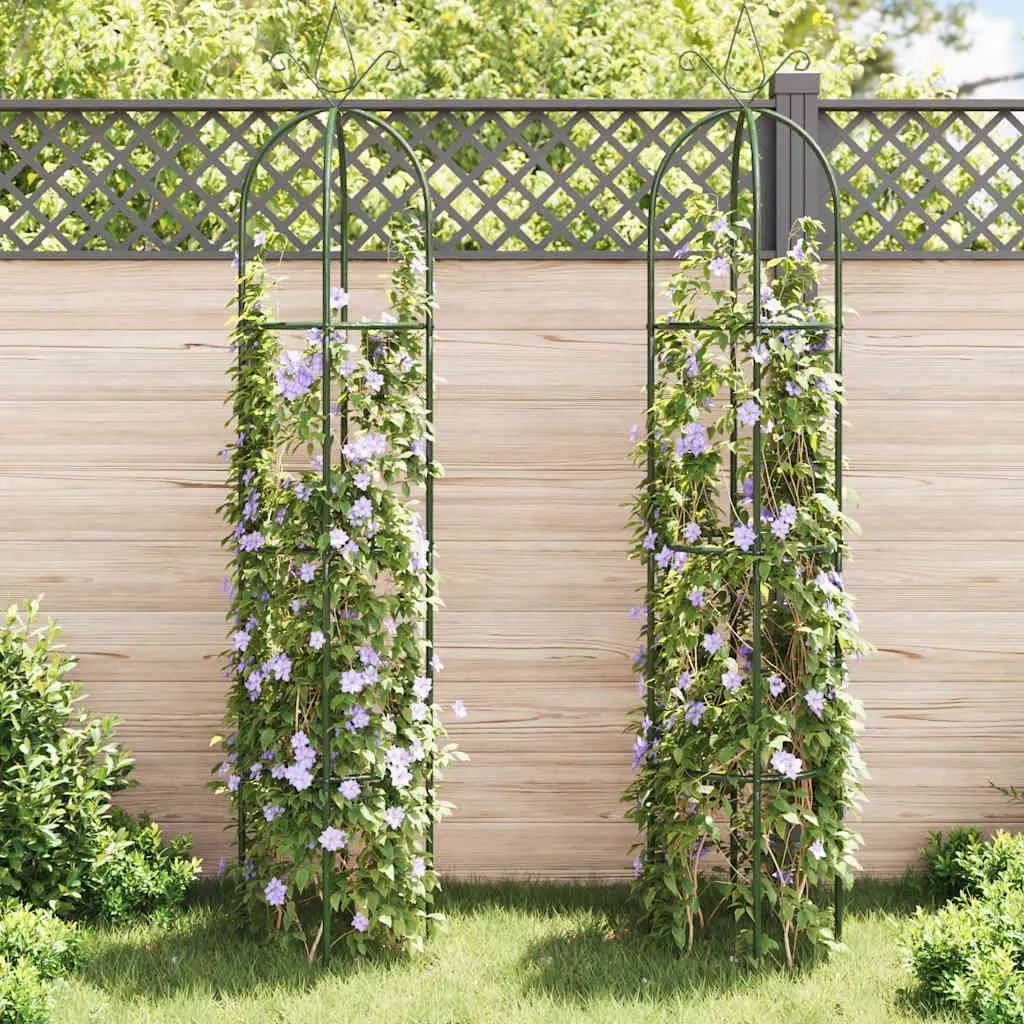 Garden Arch Towers Set 2 Pieces Climbing Plants Support Green Iron Outdoor Patio Trellis