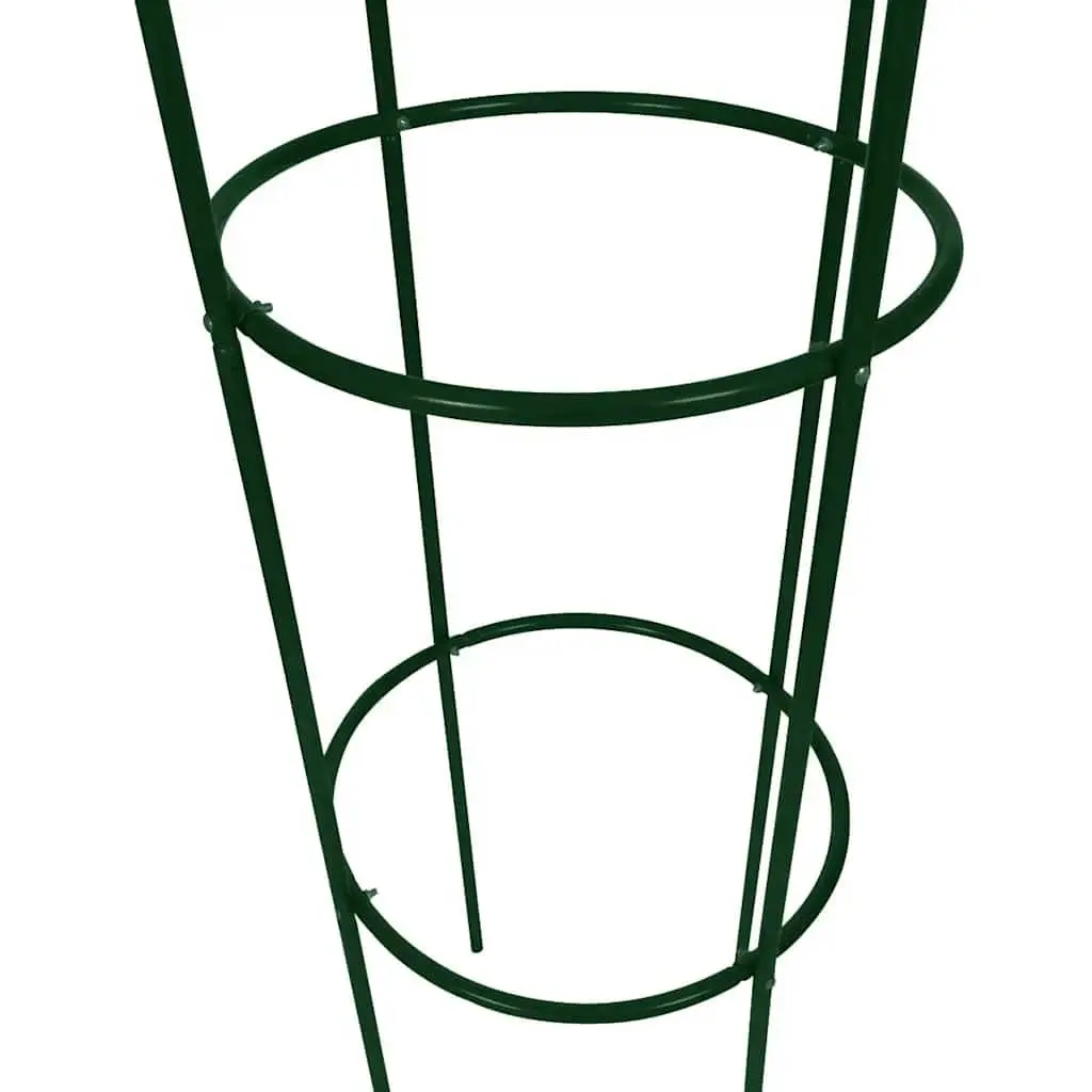 Garden Arch Towers Set 2 Pieces Climbing Plants Support Green Iron Outdoor Patio Trellis