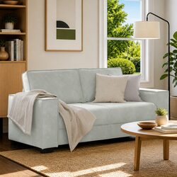 Comfortable and Practical Light Grey Velvet Couch
