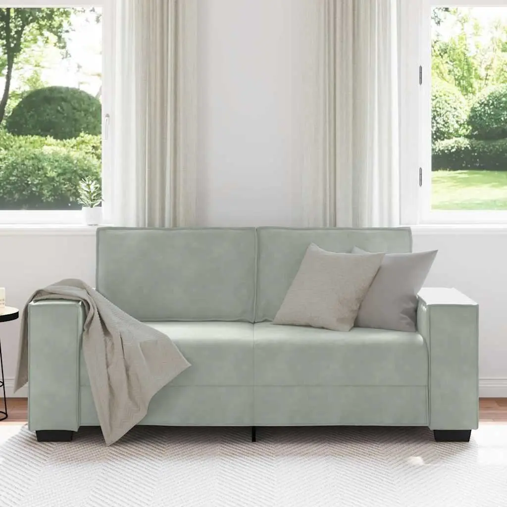 Light Grey Velvet Couch