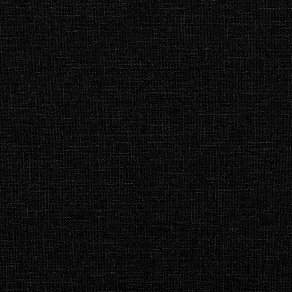 Black Fabric Sofa for Two