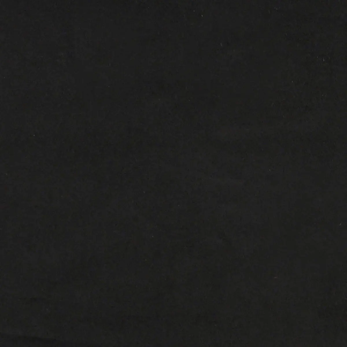 Headboard Velvet Black 160cm Modern Bedroom Upholstered Backrest