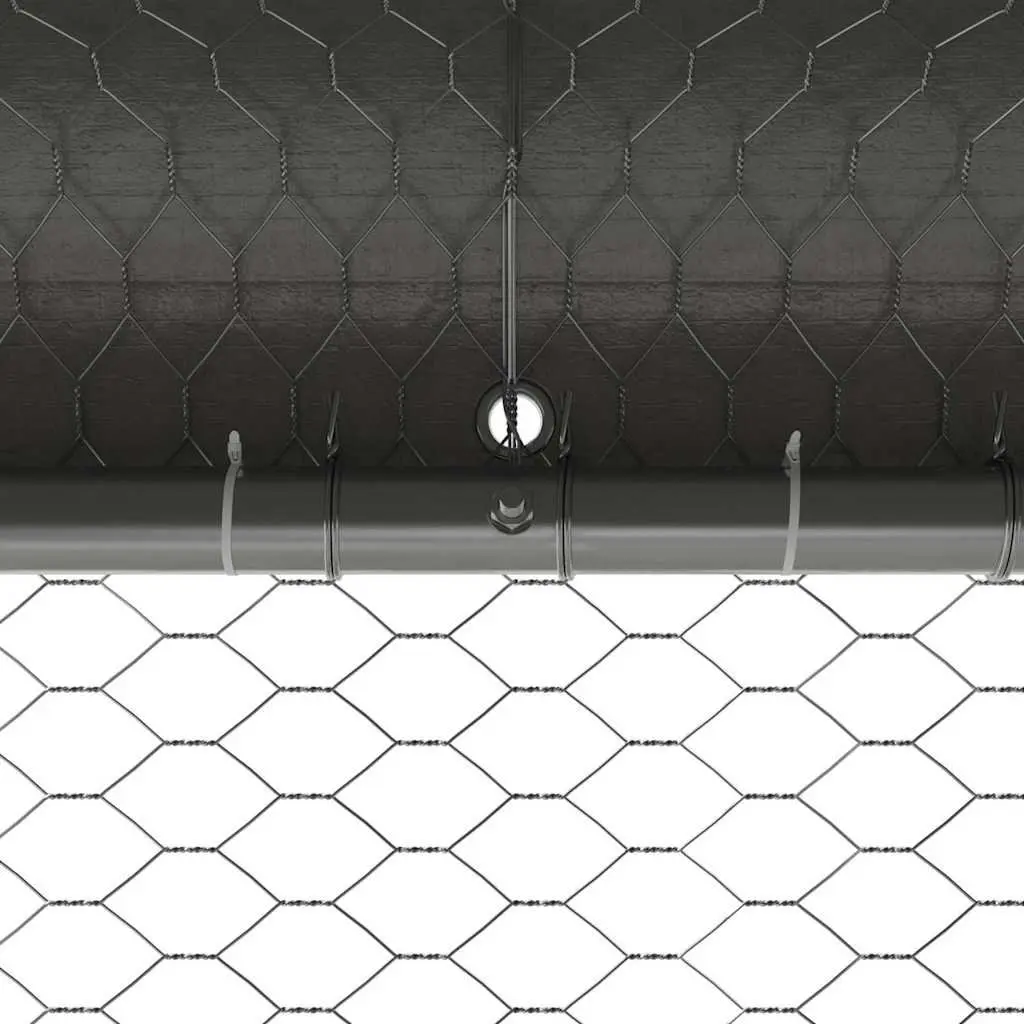 Chicken Cage for Comfort and Safety