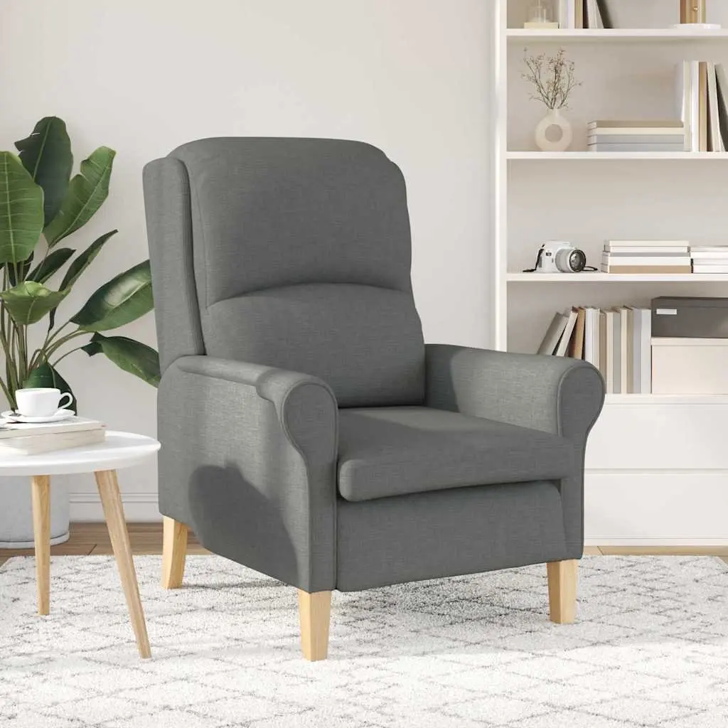 Armchair Grey Fabric Modern Contemporary Living Room Seating