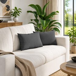 Sofa Pillows 2 pcs Dark Grey 50 x 30 cm Removable Cover Polyester Filling